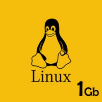 1 Gb Linux Hosting