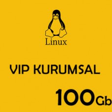100 Gb Kurumsal Hosting