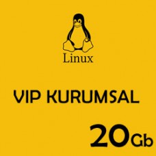 20 Gb Kurumsal Hosting