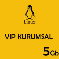5 Gb Kurumsal Hosting