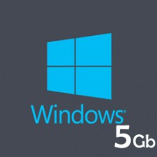 5 Gb Windows Hosting